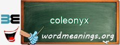 WordMeaning blackboard for coleonyx